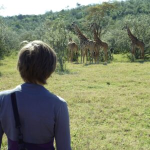 von sansibar nach tansania safari