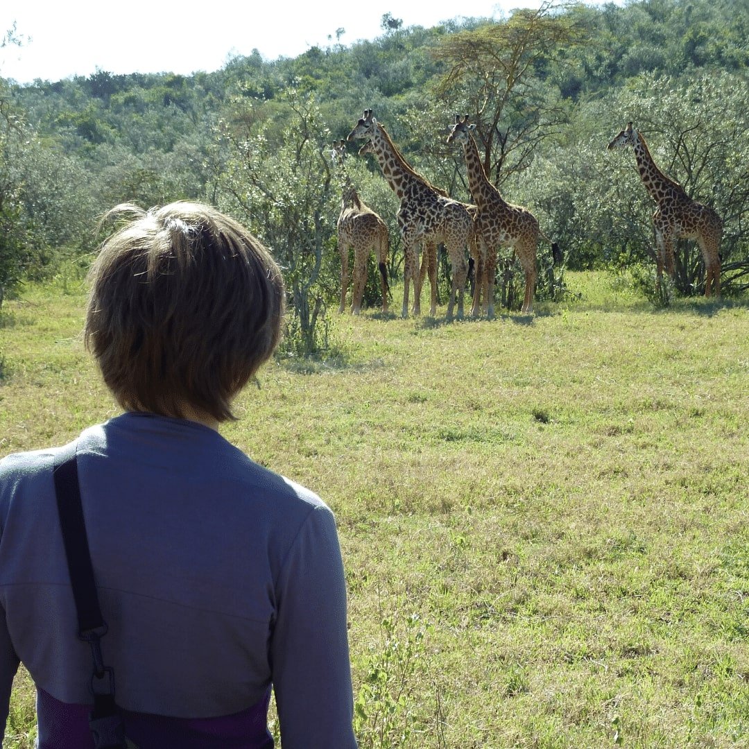kenia safari mit kindern