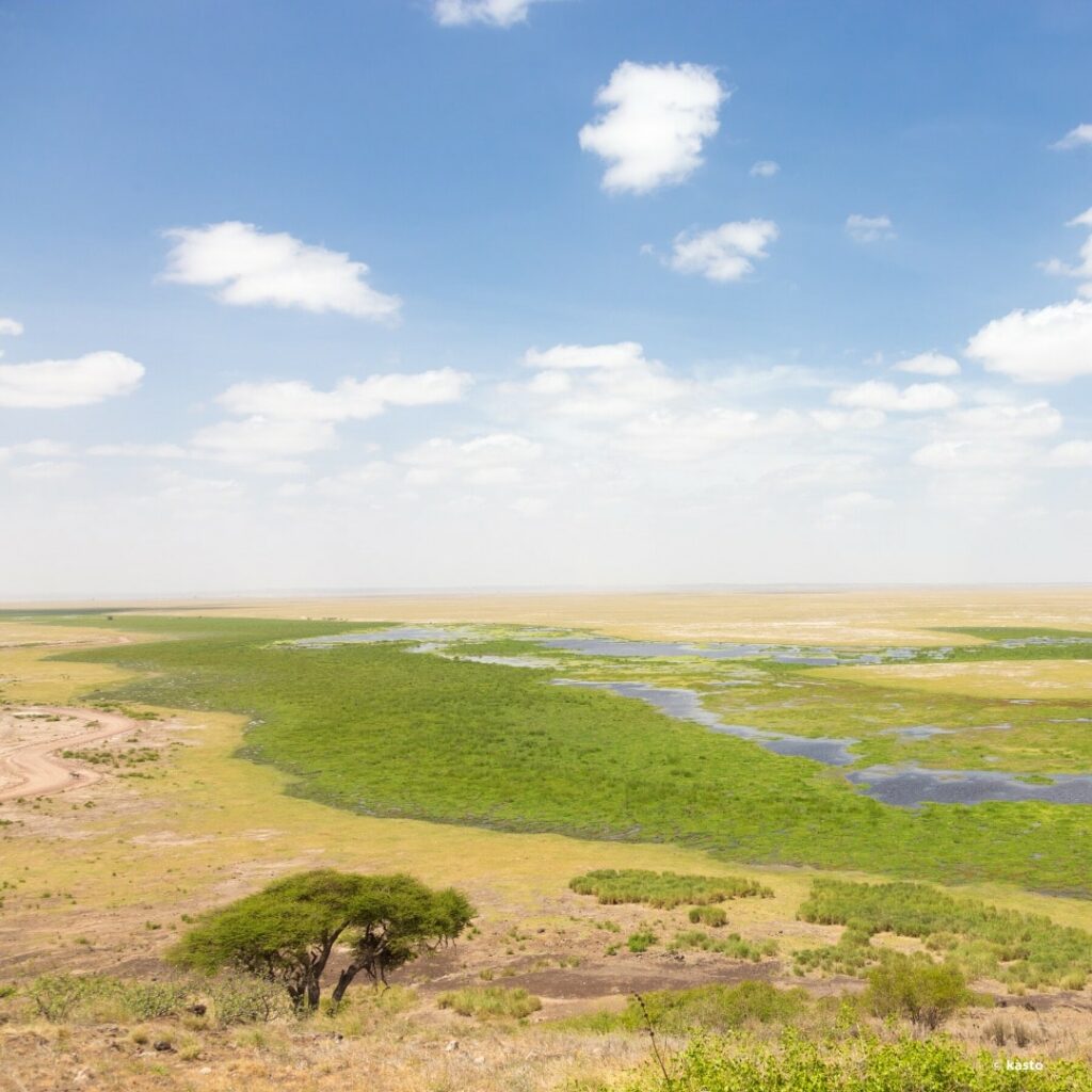 Amboseli Landschaft