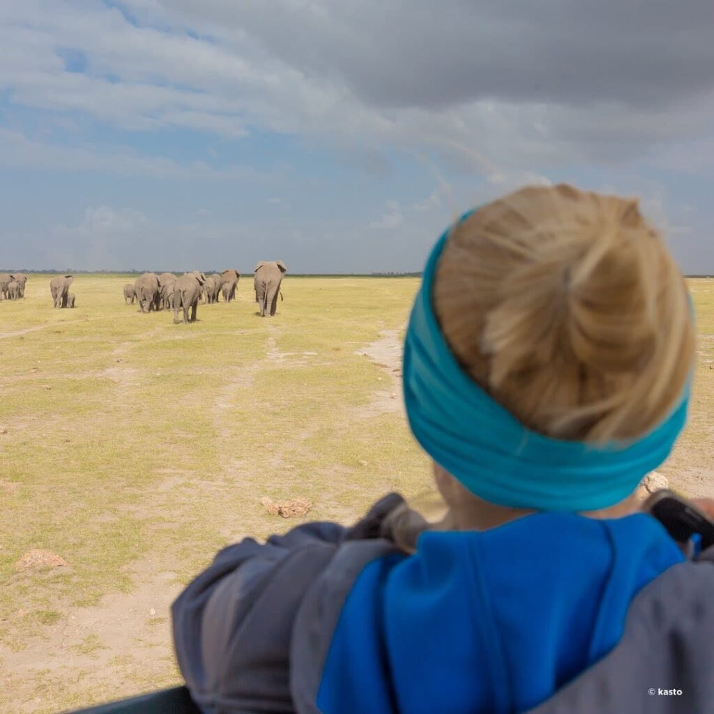 Amboseli Elefantenherden
