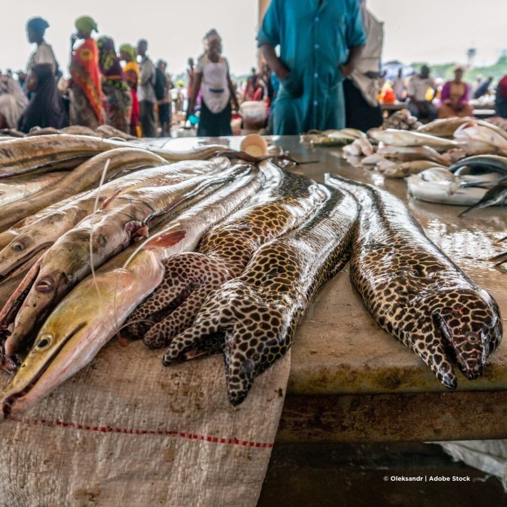 Kivukoni Fischmarkt