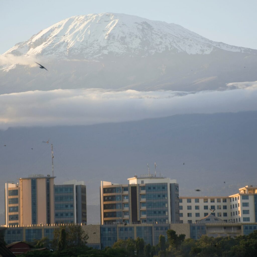 Moshi Kilimanjaro