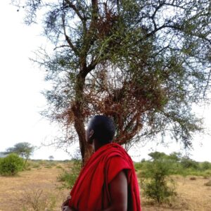 Masai Mara Naturspaziergang
