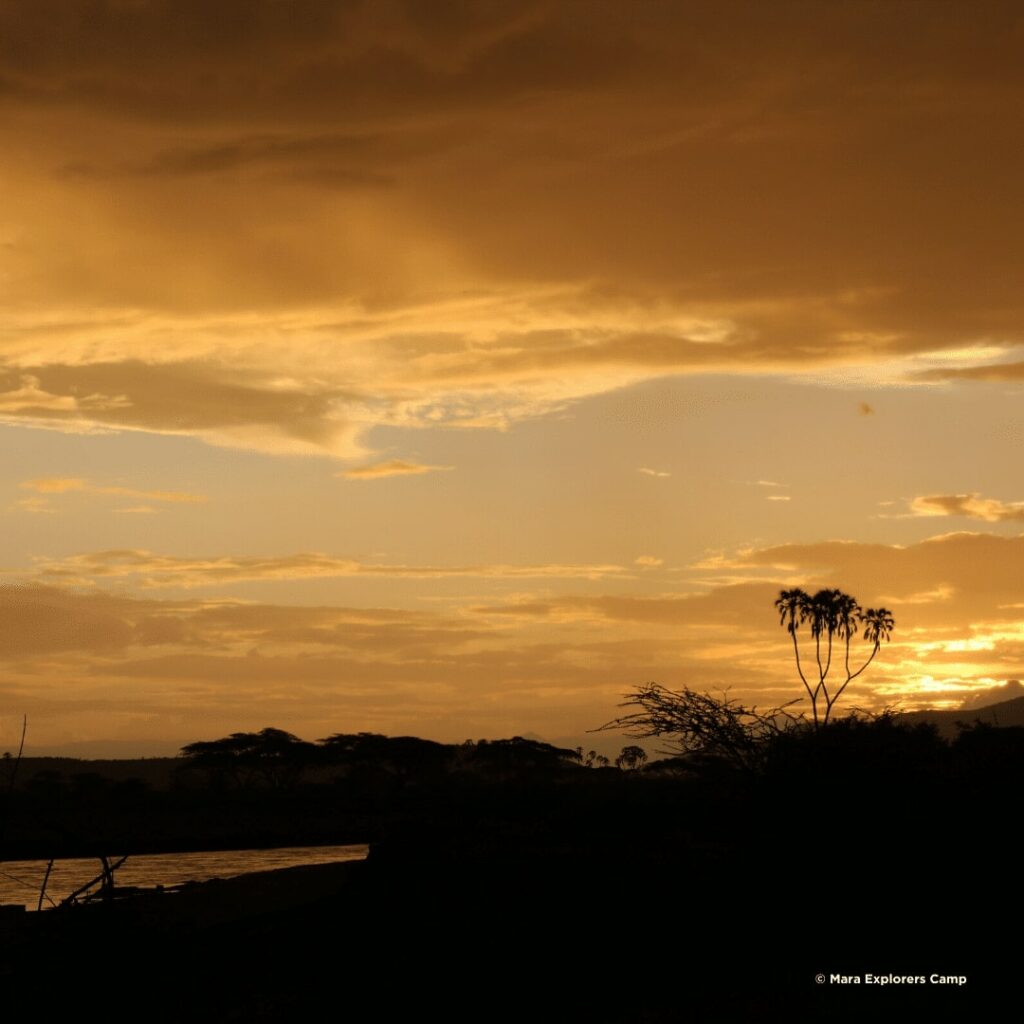 Samburu National Reserve Ewaso Nyiro Fluss