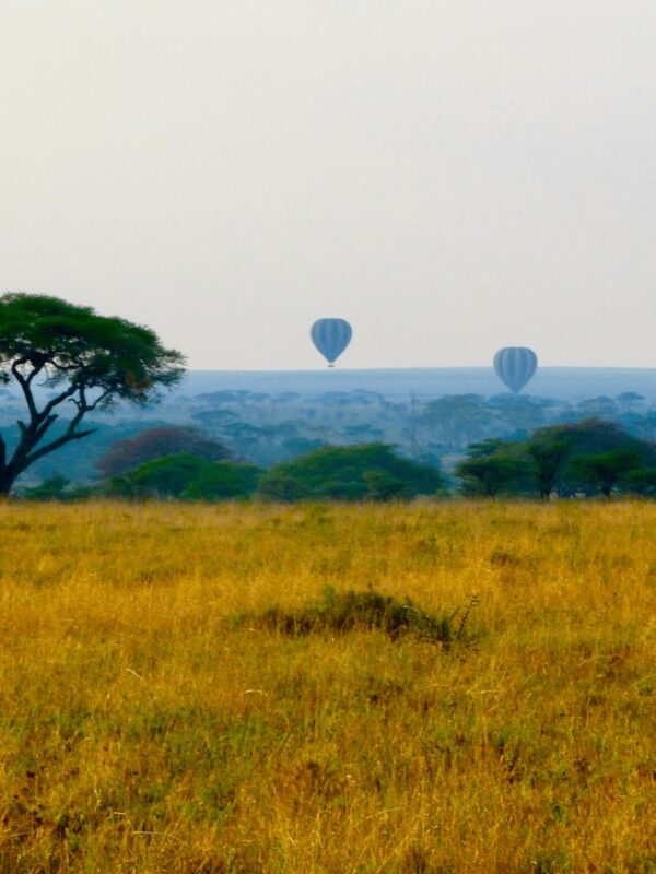 Serengeti Ballonsafari