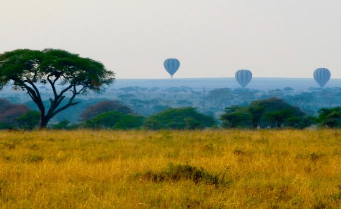 Serengeti Ballonsafari