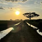 Amboseli Nationalpark Safari