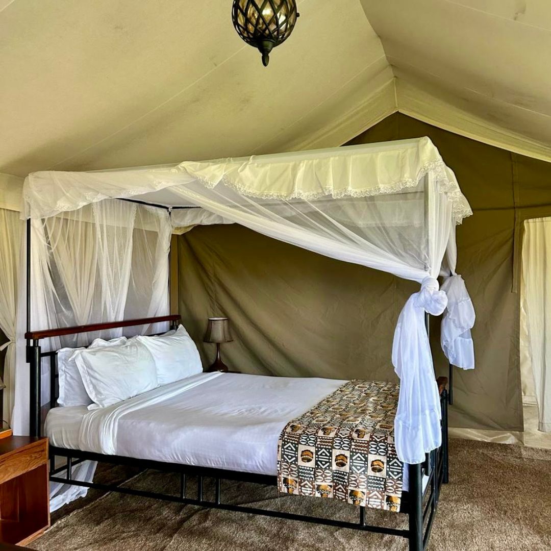 Zelt im Into The Wild Tented Camp