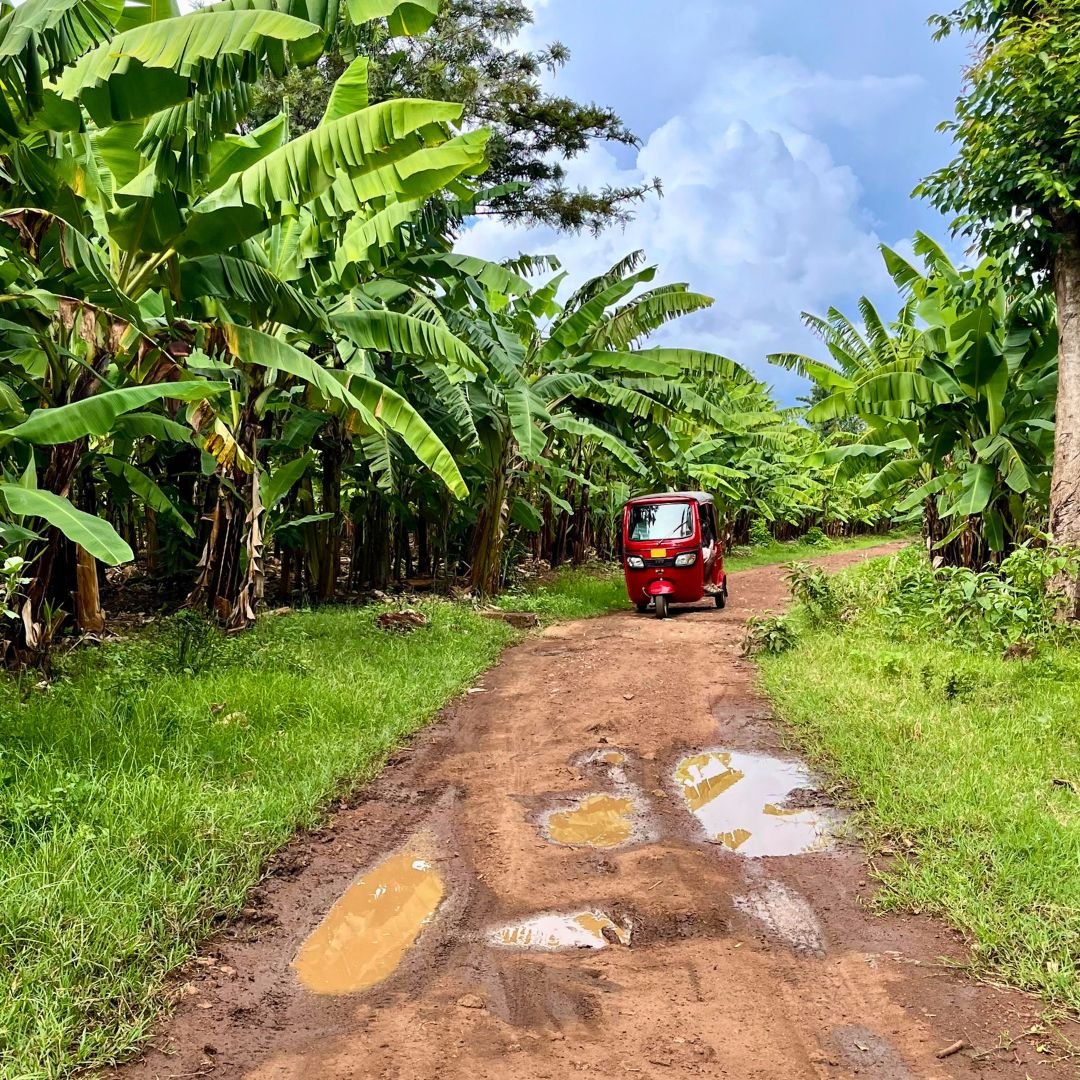 Tuk-tuk Tour durch Bananenfelder in Mto wa Mbu